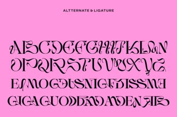 Serif Display Typeface