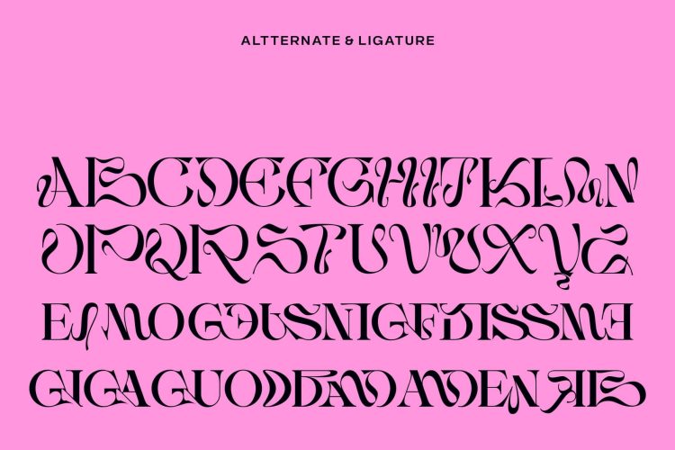 Serif Display Typeface