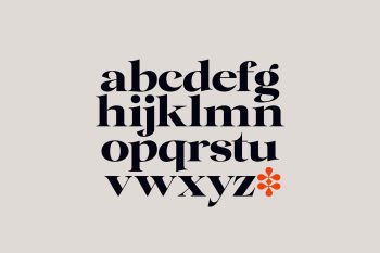 Family Serif Typeface