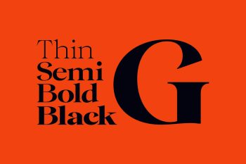 Family Serif Typeface