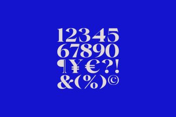 Family Serif Typeface