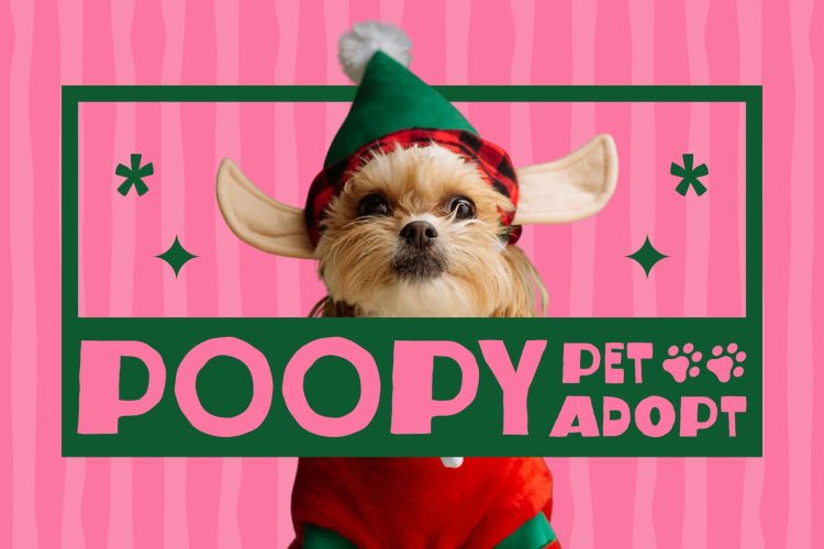 Handcraft Display Typeface