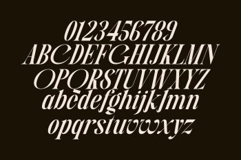 Serif Display Typeface