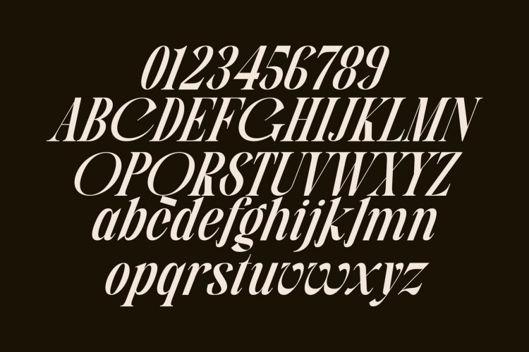 Serif Display Typeface