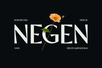 Display Sans Serif Typeface