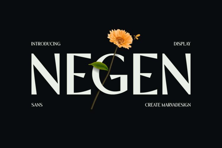 Display Sans Serif Typeface