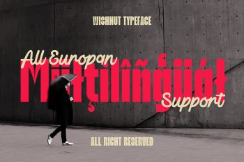 Duo Display Typeface