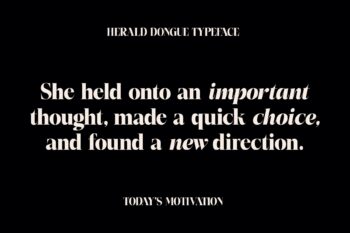 Stylish Elegant Serif Typeface