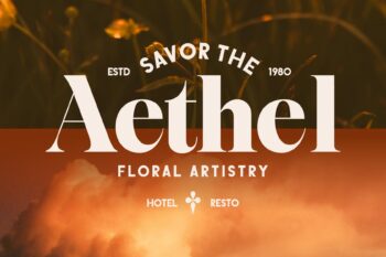 Stylish Elegant Serif Typeface