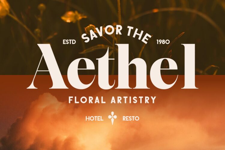 Stylish Elegant Serif Typeface