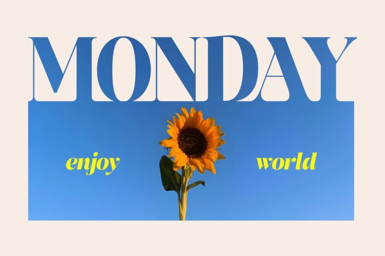 Stylish Elegant Serif Typeface