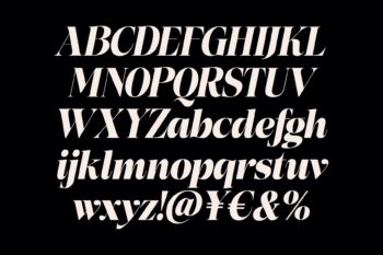 Stylish Elegant Serif Typeface