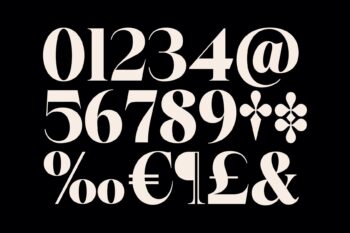 Stylish Elegant Serif Typeface