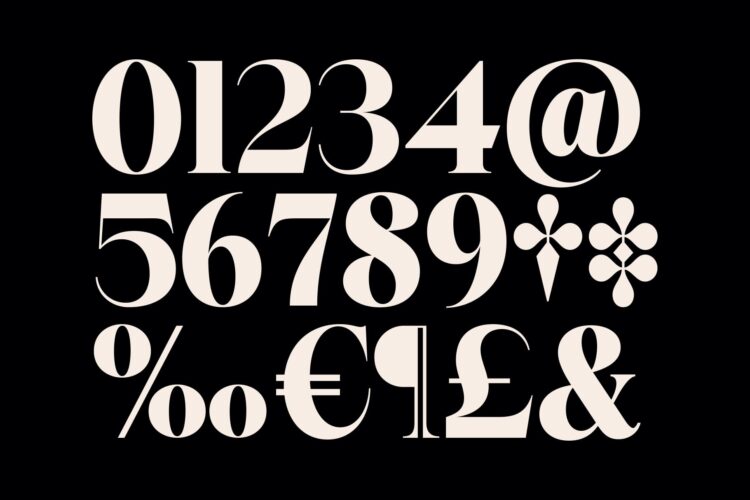 Stylish Elegant Serif Typeface