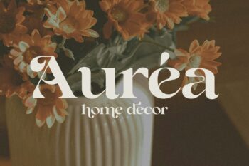Elegant Decoration Serif Typeface