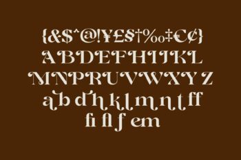 Elegant Decoration Serif Typeface