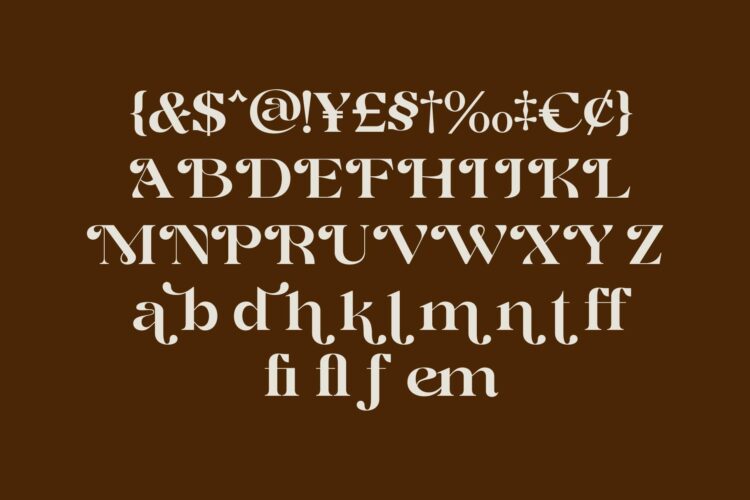 Elegant Decoration Serif Typeface