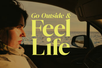 Elegant Family Serif Typeface