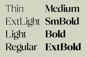 Elegant Family Serif Typeface