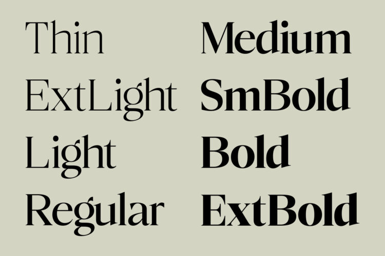 Elegant Family Serif Typeface