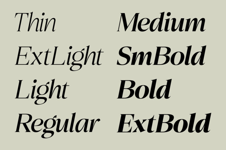 Elegant Family Serif Typeface