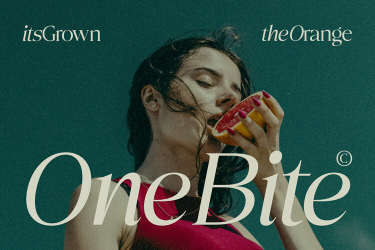 Elegant Family Serif Typeface