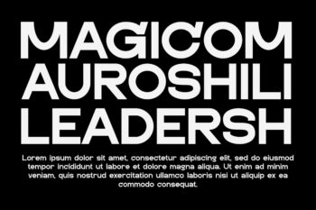 Geometric Sans Serif