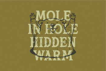 Old Elegant Serif Typeface