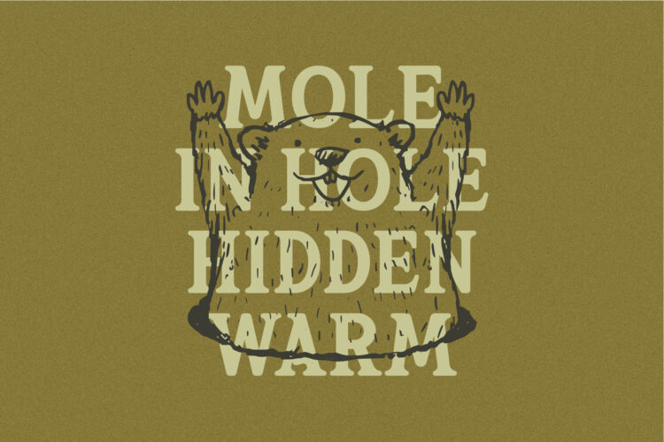 Old Elegant Serif Typeface