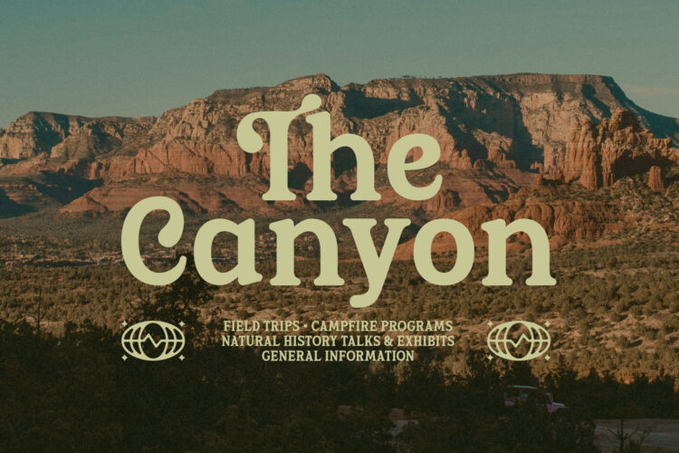 Old Elegant Serif Typeface