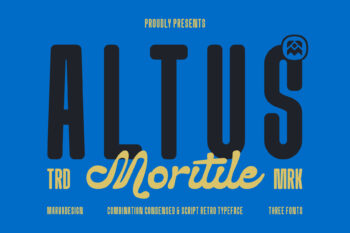 Combination Font Typeface