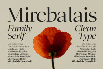 Family Serif Typeface