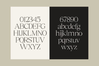 Family Serif Typeface