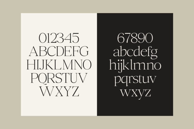 Family Serif Typeface