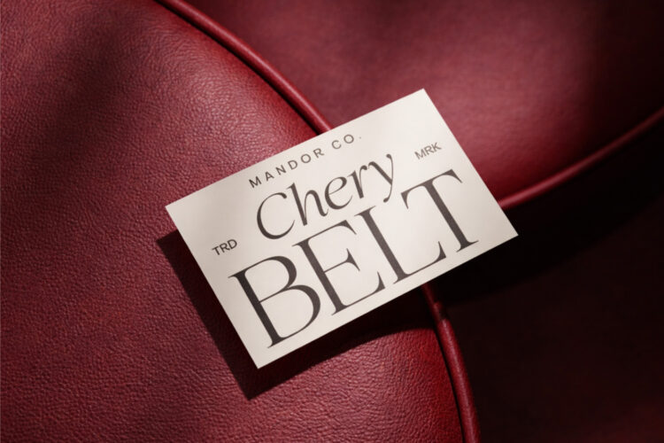 Family Serif Typeface