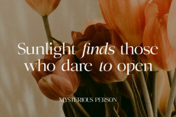 Family Serif Typeface