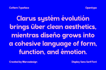 Sans Serif Display Typeface