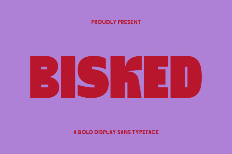 Bold Display Sans Serif Typeface