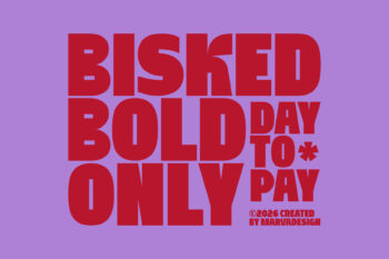 Bold Display Sans Serif Typeface