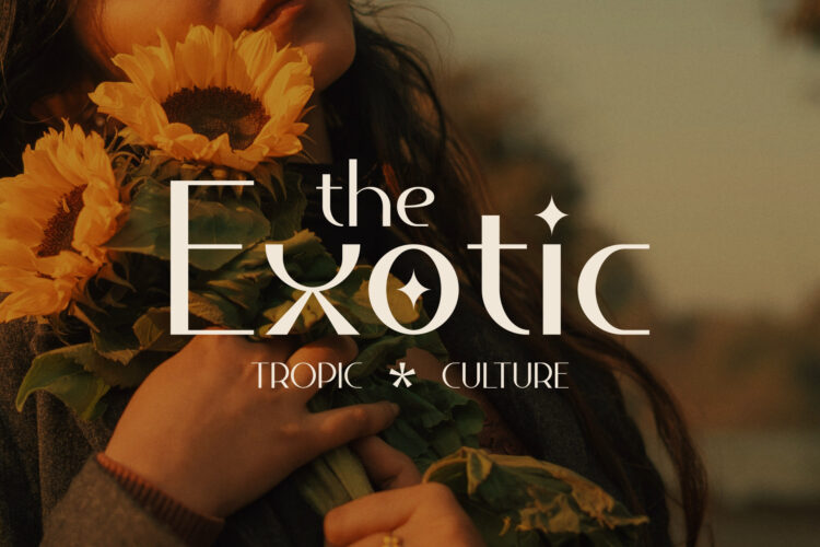 Minimalist Elegant Typeface