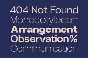 Modern Family Sans Serif Typeface