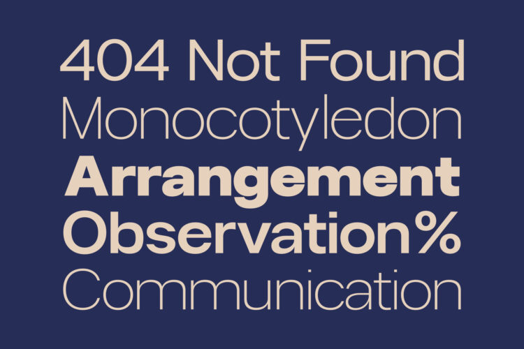 Modern Family Sans Serif Typeface