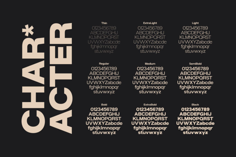 Modern Family Sans Serif Typeface