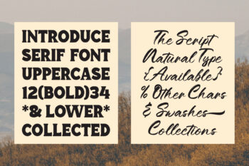 Duo Font Retro Typeface