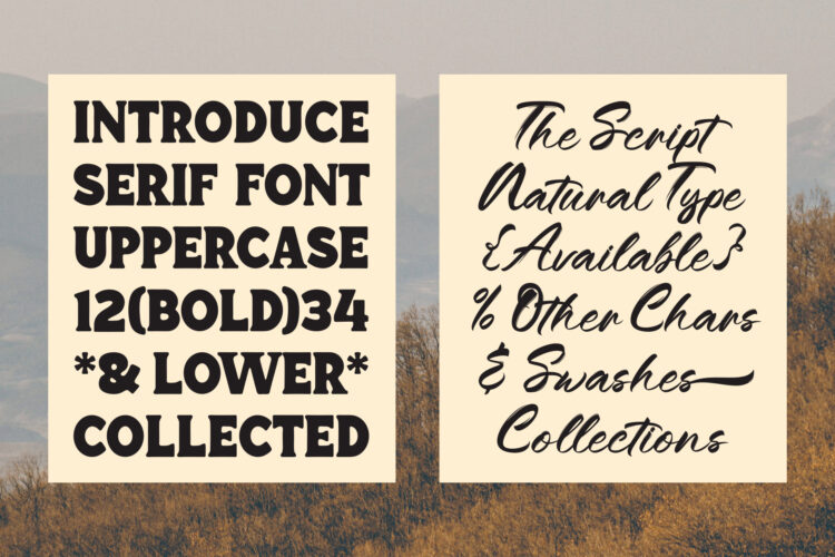 Duo Font Retro Typeface