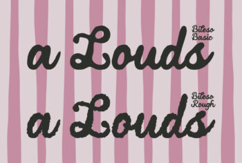 Duo Script Typeface