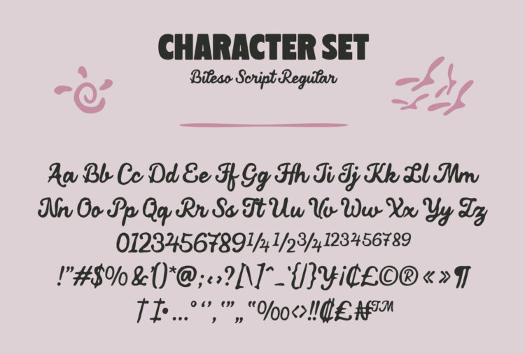 Duo Script Typeface