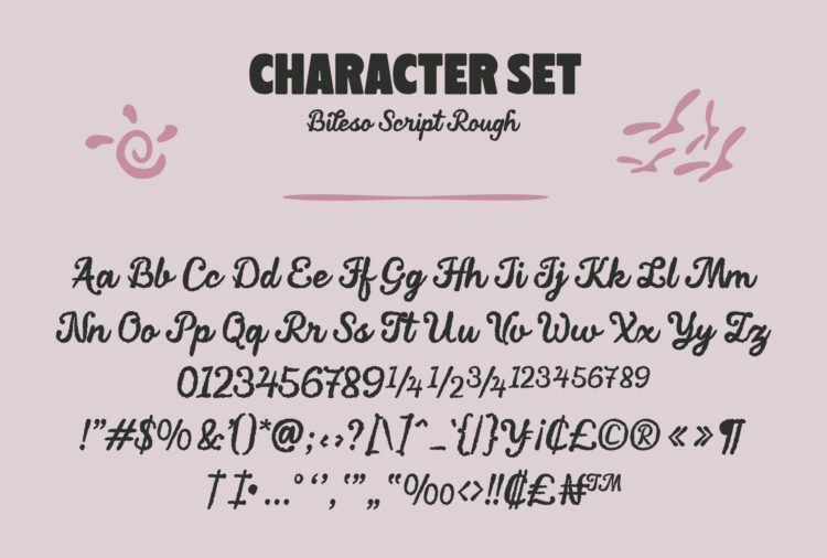 Duo Script Typeface