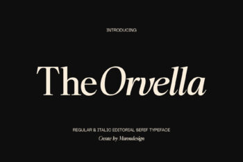 Editorial Serif Typeface