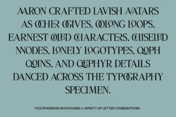 Editorial Serif Typeface